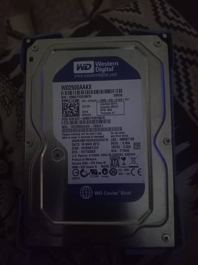 250 GB Western Digital Hard Drive for Sale