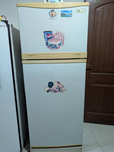 Imported General Electric No-Frost Refrigerator