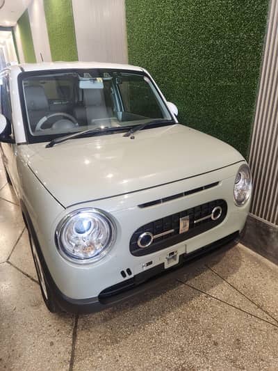 Alto lapin 2022/2026