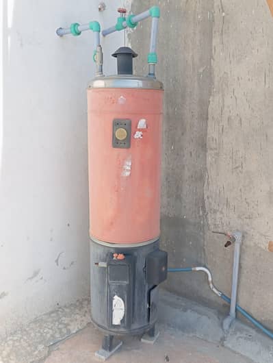 Electric and gas geyser