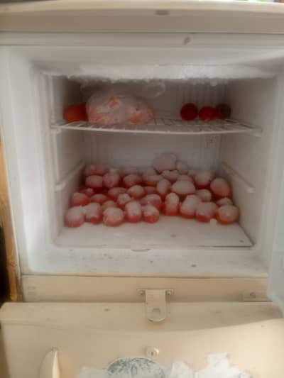 medium size Waves fridge for sale