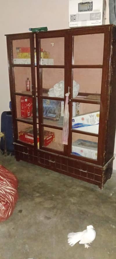 New showcase in perfect condition