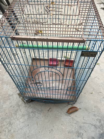 Big size cage for sale