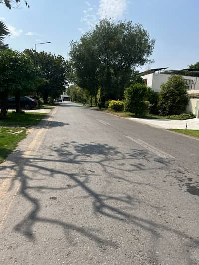 Investment Price With Large Driveway No Parking Issue Best For Palace Plot For Sale