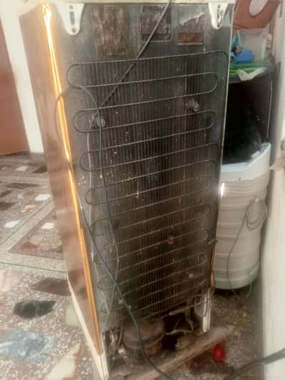 WAVES MEDIUM size fridge for sale