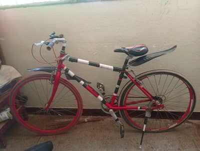 racing cycle imported