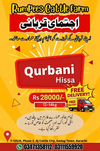 Cow Qurbani Hissa In Karachi With Free Delivery | 12-14kg Weight
