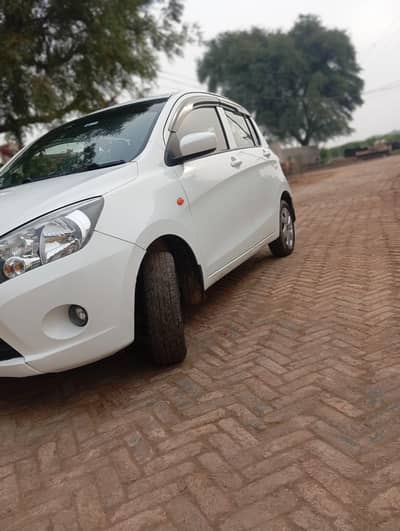 need  mounny arjant sale totally genuine lush condition 0/301/777/4552