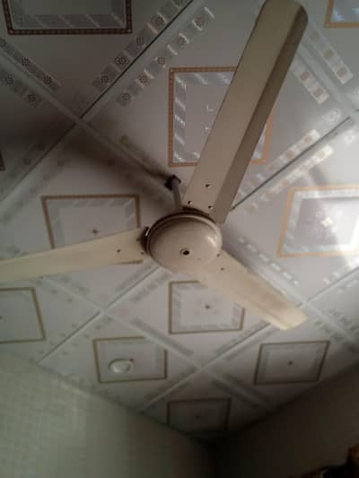 fan for sale