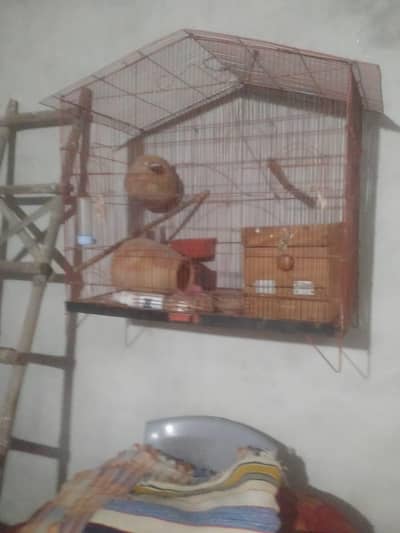 Parrot cage urgent sale