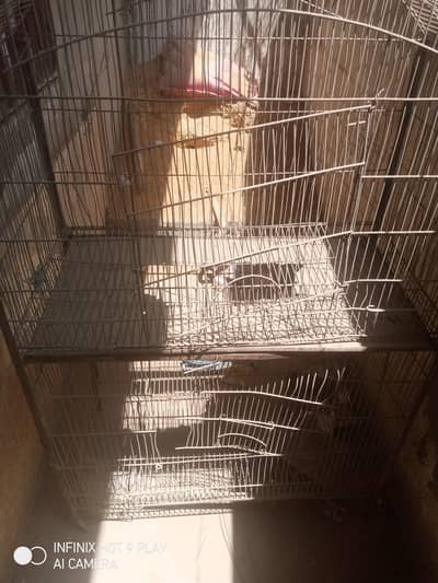 cage for sale