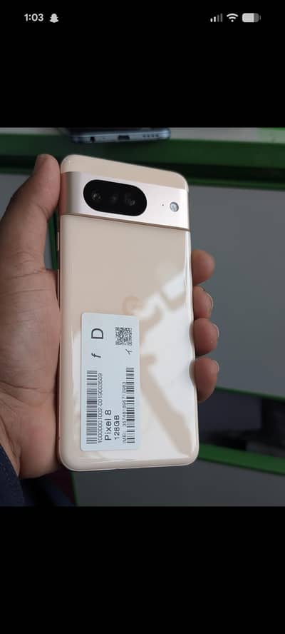 03106160859 what's app