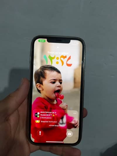 IPhone 12 Pro Max official PTA