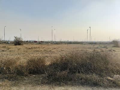 P-837 Carpeted Road DB Pole Clear Affordable Price