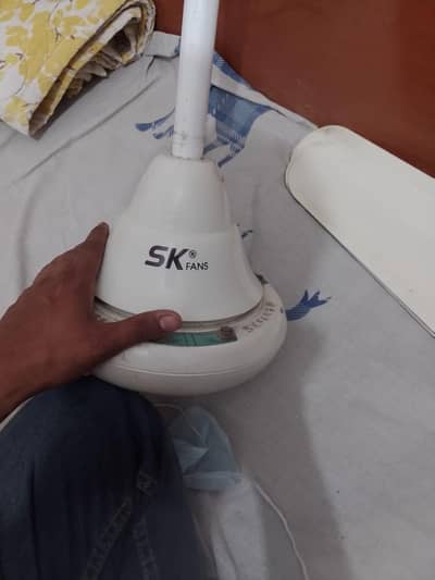 10 by 10 candision sk brand