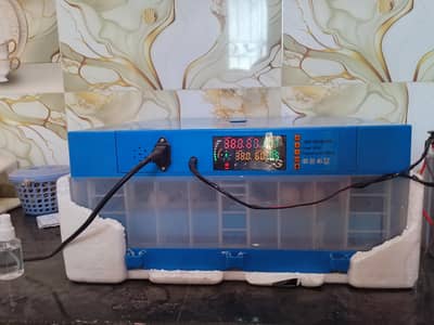 intelligent automatically incubator