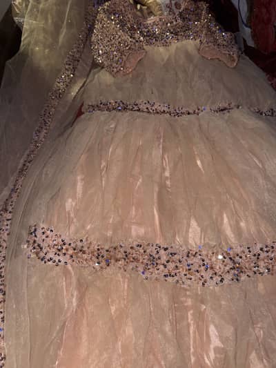 Luxury Embellished Party Dress (Soft Pink)