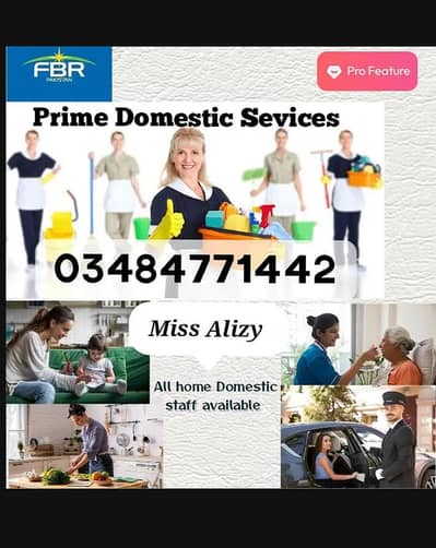 Babysitter/ Cook/ Maid/ Patient attendant/Driver/ Helper/Nurses etc