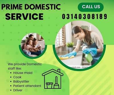 Babysitter/ Cook/ Maid/ Patient attendant/Driver/ Helper/Nurses etc