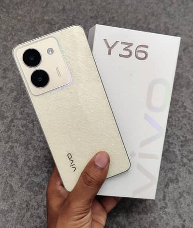Vivo Y36 8/256
