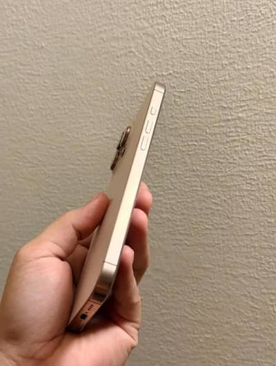 Iphone 16 pro max 256 back crack
