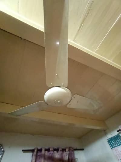 3 in 1 deal for fans