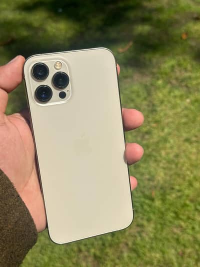 iphone 12 pro max pta approved