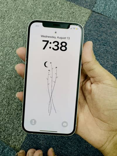 iPhone 12 White Color PTA APPROVED