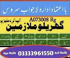 House Maid, Babysitter, Patient Care, Nanny, Nurse, Driver, Chef, Cook