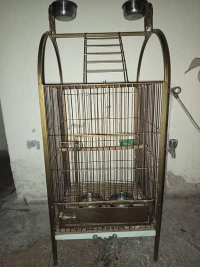 parrot hens cage