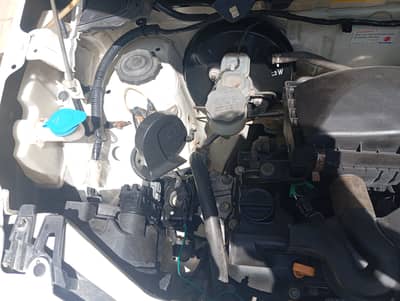 I'm sale may alto 2022M