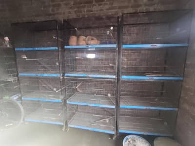 birds cage 4 potions