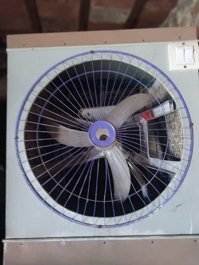 sirf aik season Chala hai