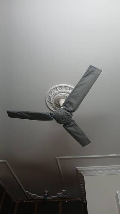 Pakfan 100 percent Copper  11 fan