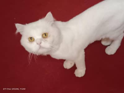 bhai washroom busket ma hi Karta ha