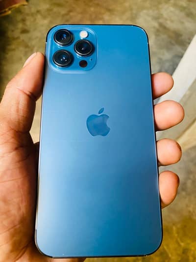 12promax 10/10 condition betray health 84%