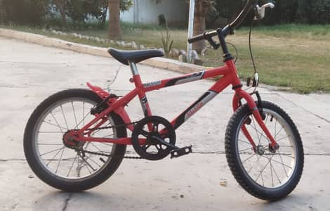 "RALEIGH" England imported children bicycle