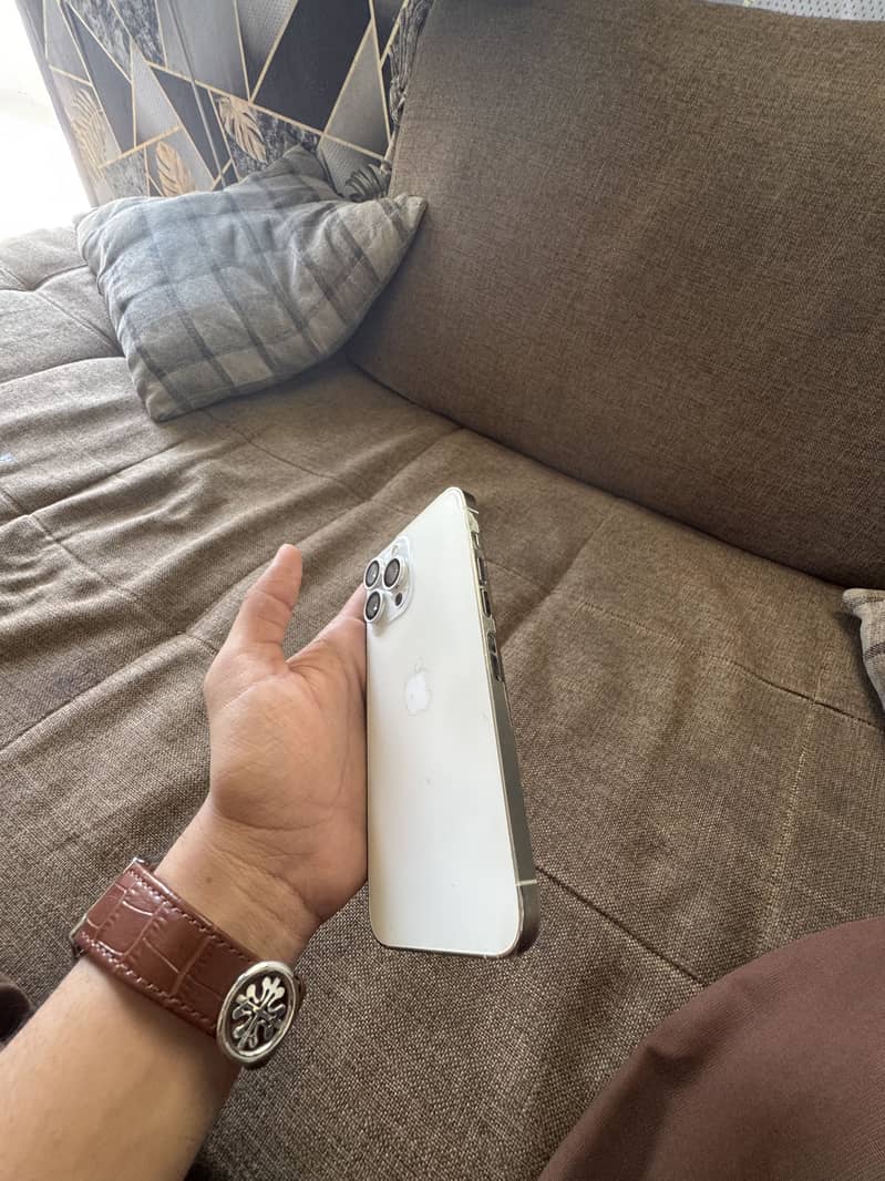 iPhone 13 Pro Max 1