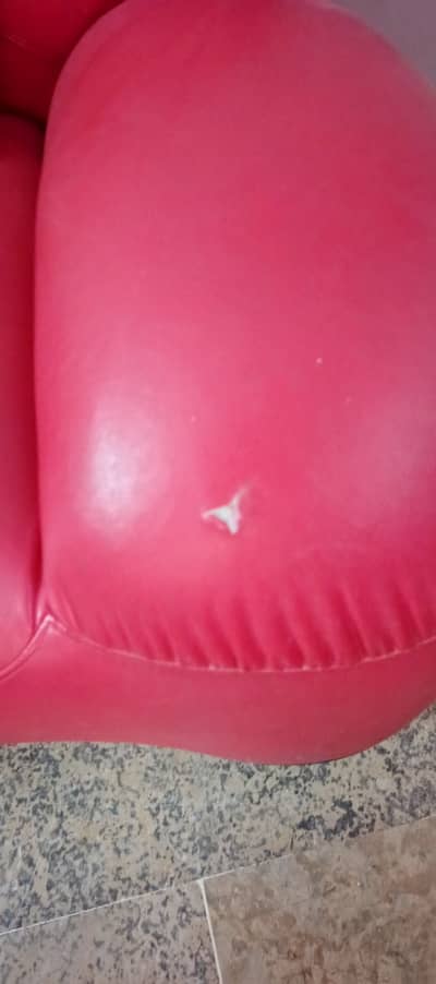 Sofee pure molty farm