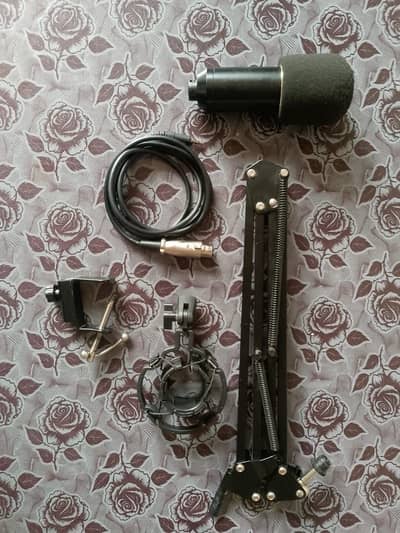 Devine BM 500 Condusor Microphone