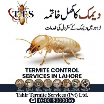 Termite Control Pest Control Fumigation Services in Lahore