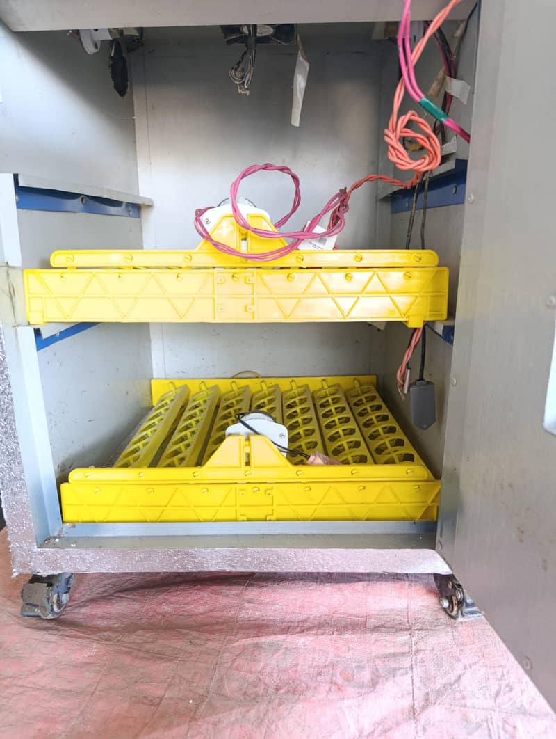 fully automatic incubator 2