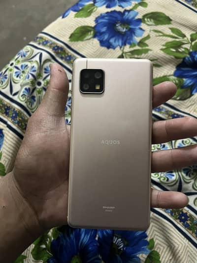 Aquos sense 5G pta approved