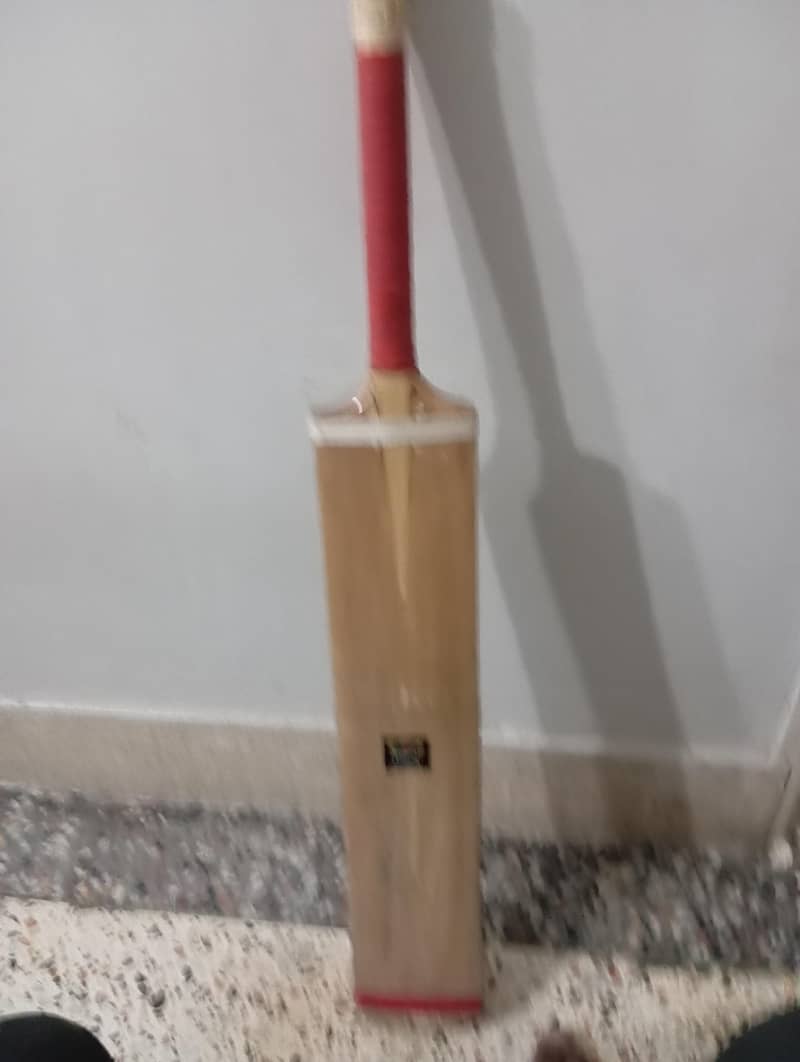 FB THUNDER BAT 3