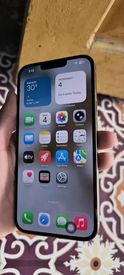 Apple iPhone 13 Pro Max