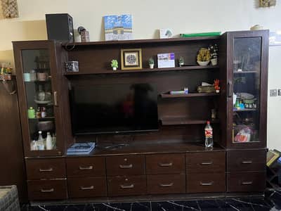 Large Custom-Built Media Center & Divider – P. I. B. Colony, Karachi