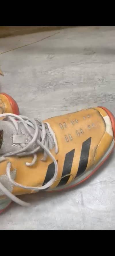 adidas spikes 22yd uk 9