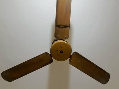 2 ceiling fans