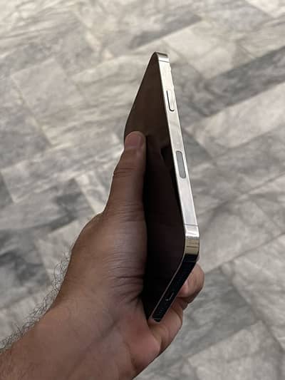 13promax Non pta FU panel py scratches hayn