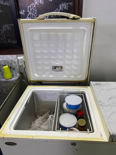 2 door good condition deepfreezer